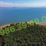 Bán nhà vườn 16.000m2 giáp Hồ Trị An, Đồng Nai - Ảnh thu nhỏ 2