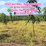 Bán đất Phước Tân, Bình Phước 2 ha giá 900tr/ha - Ảnh thu nhỏ 1