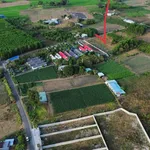 Bán đất 964m2 thổ cư Phước Hải 2.8 tỷ - Ảnh thu nhỏ 1