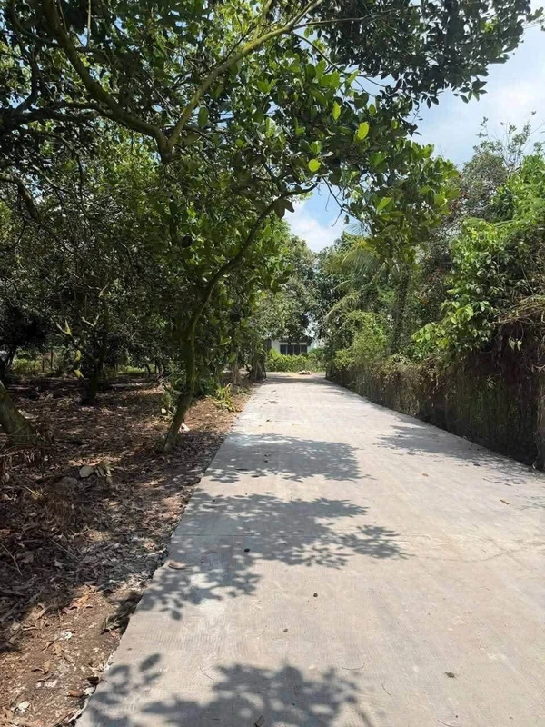 Bán vườn trái cây 500m2 Long Khánh 800 triệu