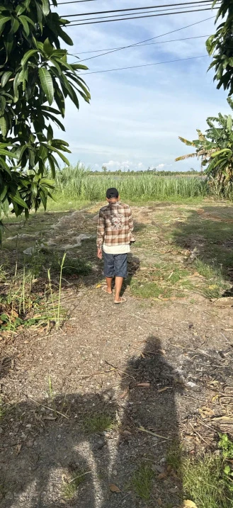 Bán đất tại Mỹ Hòa, Tháp Mười, Đồng Tháp, 2 tỷ 150, 667 m2 có 200m2 TC - Ảnh thu nhỏ 3
