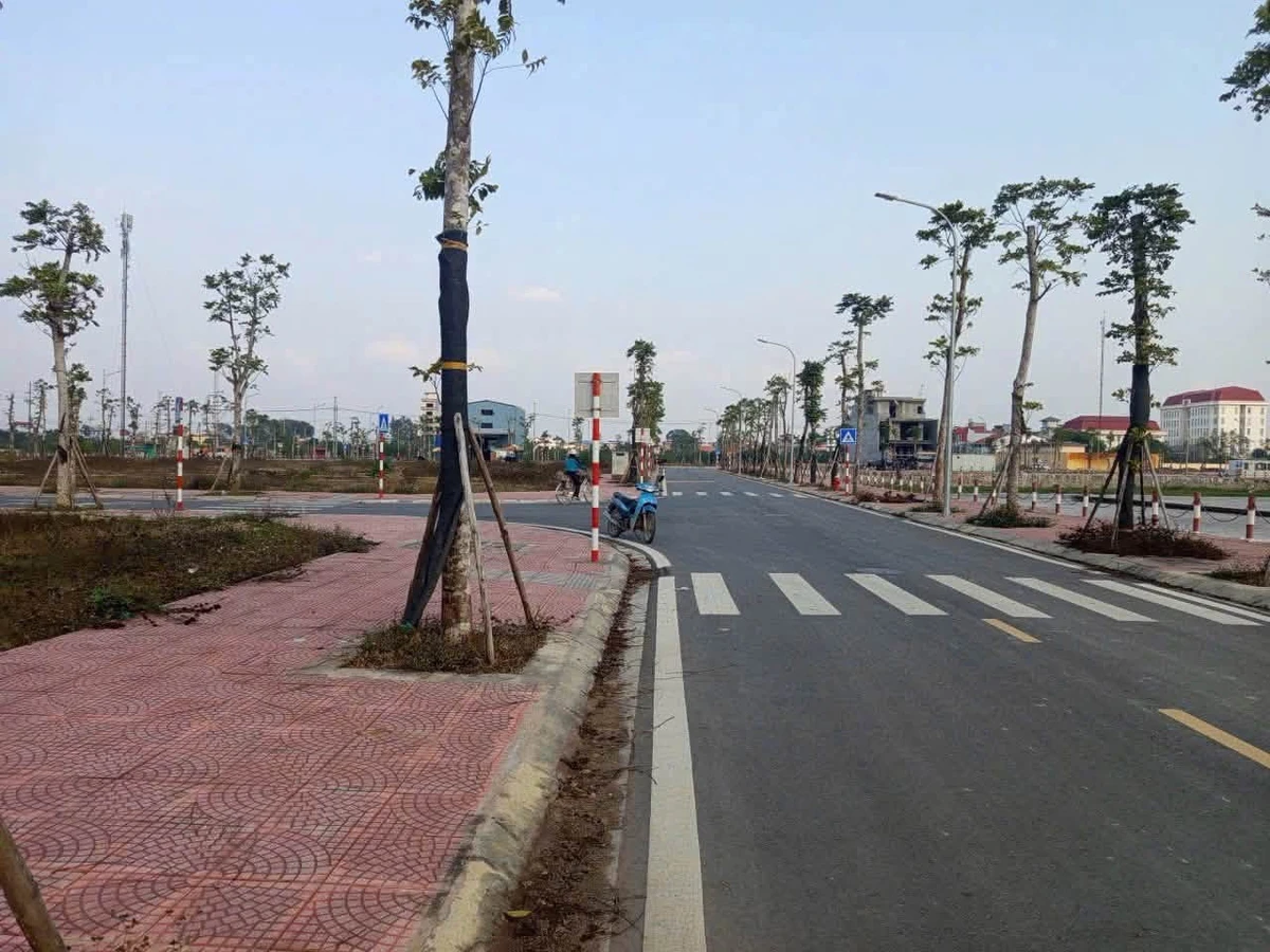 Bán đất Vân Đình Ứng Hòa 107,3m2 giá 5 tỷ - Ảnh thu nhỏ 2