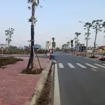 Bán đất Vân Đình Ứng Hòa 107,3m2 giá 5 tỷ - Ảnh thu nhỏ 2