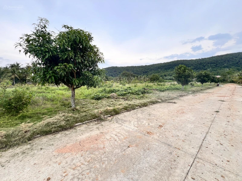 Bán đất 884m2 có thổ cư, khu Tượng Cửa Dương, sổ đỏ sẵn công chứng - Giá đầu tư