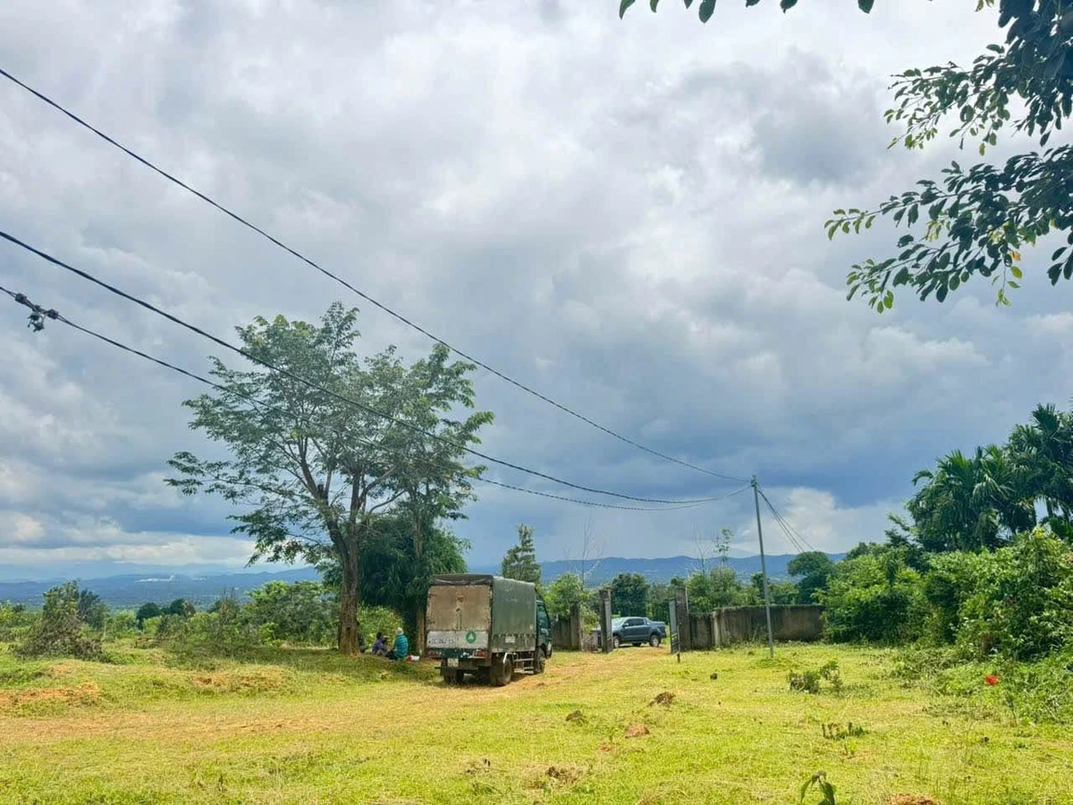 Bán 2 ha đất nông nghiệp đường 19/5, Bình Dương - Ảnh thu nhỏ 3