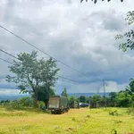 Bán 2 ha đất nông nghiệp đường 19/5, Bình Dương - Ảnh thu nhỏ 3