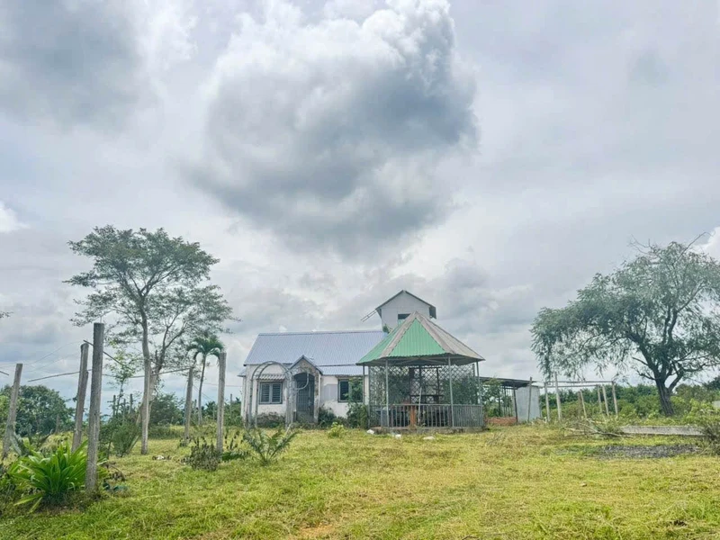 Bán 2 ha đất nông nghiệp đường 19/5, Bình Dương