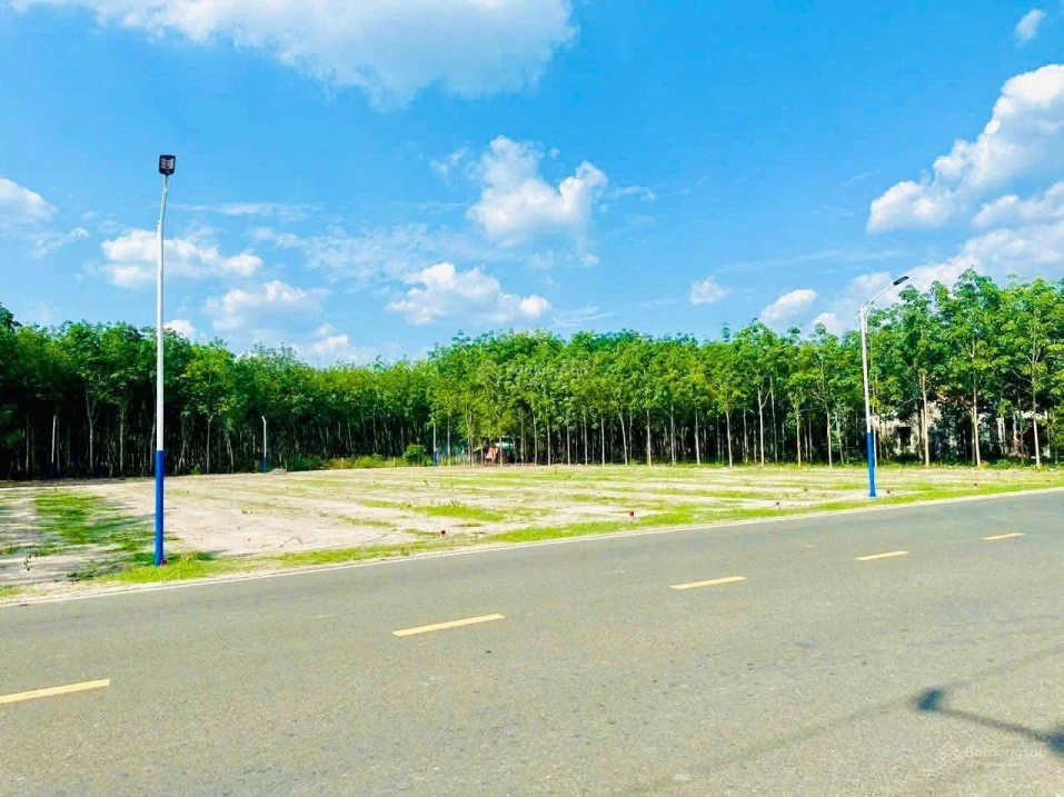 Đất xây trọ MT đường nhựa liền kề KCN Minh Hưng - Ảnh thu nhỏ 5