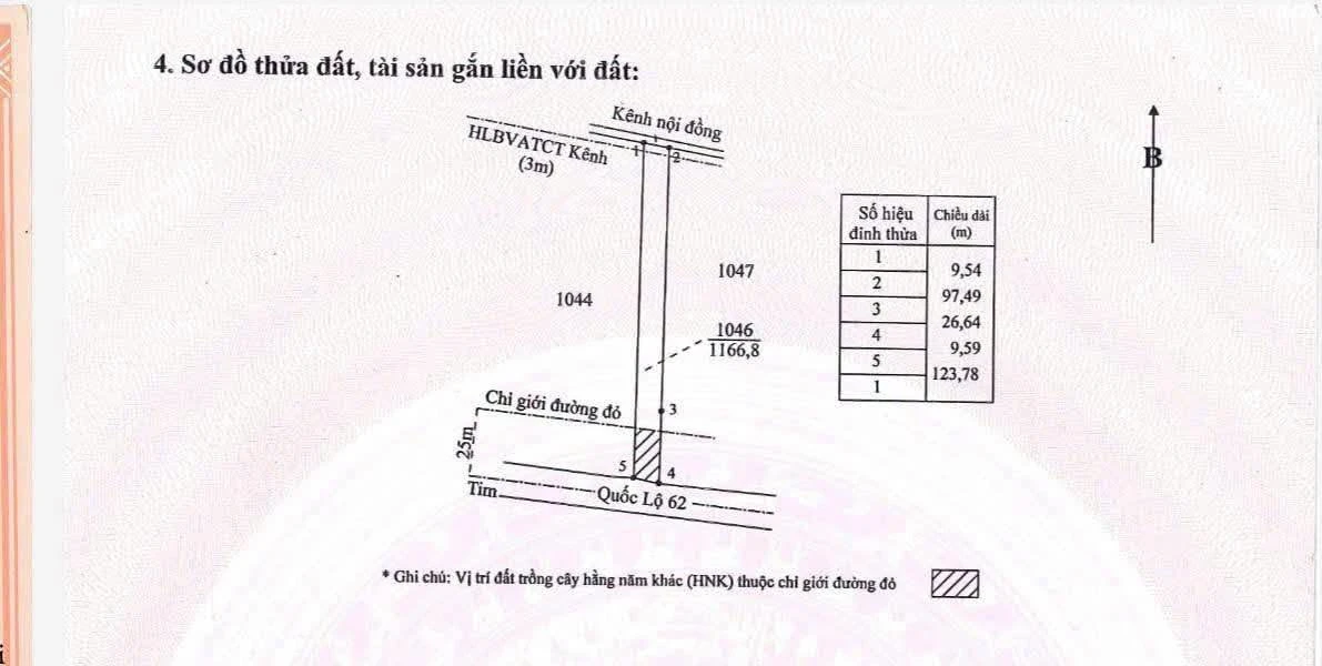 Bán đất mặt tiền Quốc lộ 62, 1166 m², Long An - Ảnh thu nhỏ 2