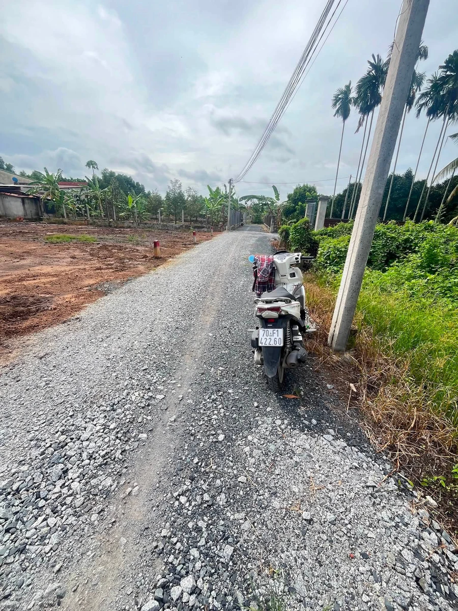 Bán đất 100m² Thạnh Đức giá 500 triệu - Ảnh thu nhỏ 4