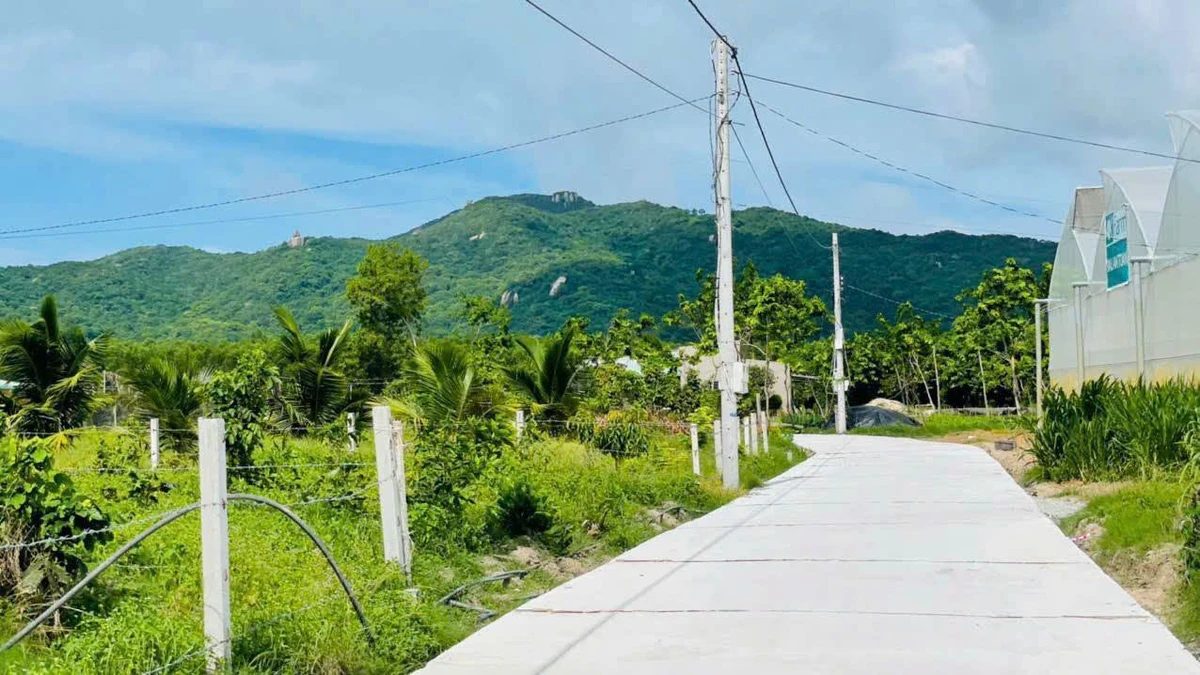 Bán đất Phước Hải BRVT 265m2 cách biển 5km - Ảnh thu nhỏ 2