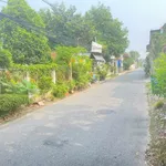 Bán đất 7,3x34m thổ cư 100m² gần vòng xoay Gò Đậu, Chánh Nghĩa, Bình Dương - Ảnh thu nhỏ 3