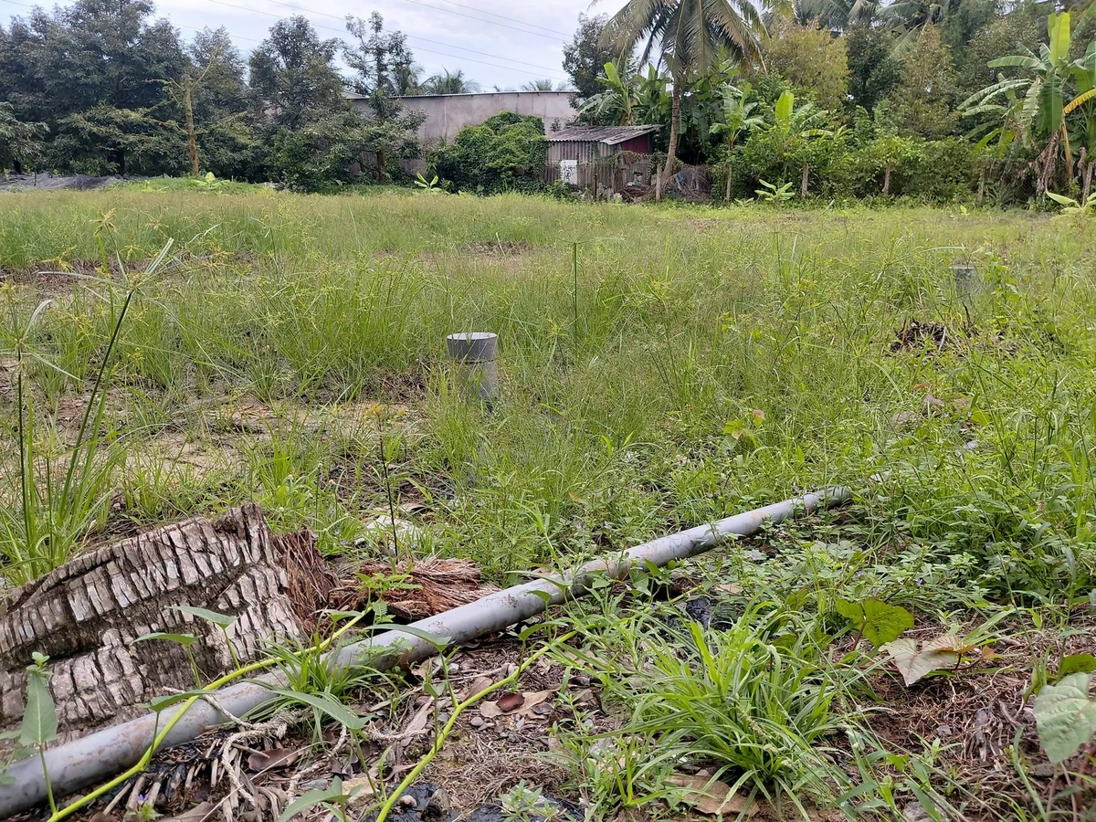 Bán đất nền 5x25m đường ô tô, 100% thổ cư, giá 400 triệu tại Phường Nhị Quý, Đồng Tháp - Ảnh thu nhỏ 2