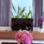 Bán nhà liền kề 3PN Bình Tân 91m² 2,68 tỷ - Ảnh thu nhỏ 4
