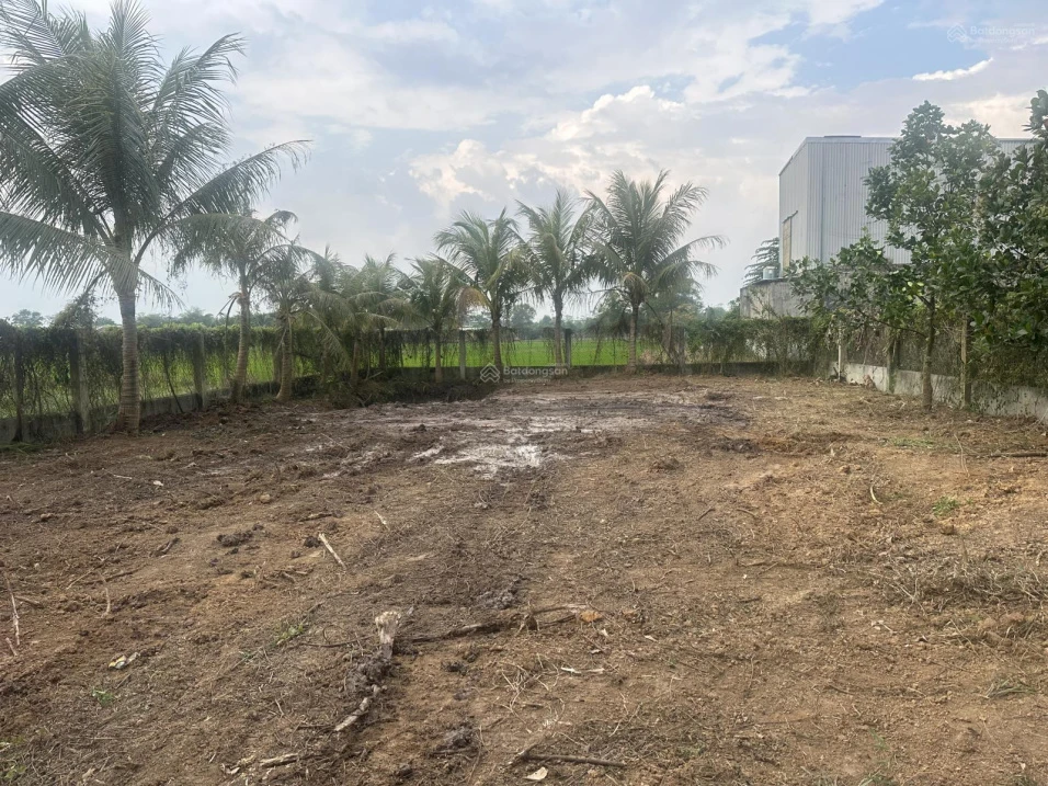 Bán đất tại Giồng Lớn, 7,5 triệu / m2, thổ cư 100%, view đẹp. - Ảnh 1