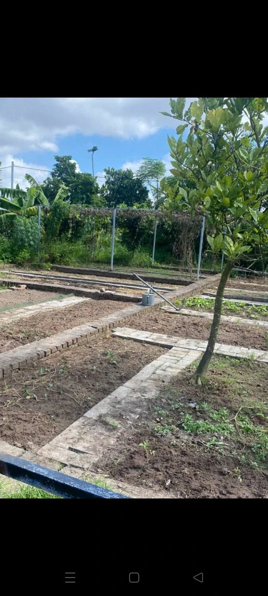 Bán nhà vườn Đồ Sơn Hải Phòng 2500m² giá 3.3 tỷ - Ảnh thu nhỏ 4