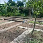 Bán nhà vườn Đồ Sơn Hải Phòng 2500m² giá 3.3 tỷ - Ảnh thu nhỏ 4