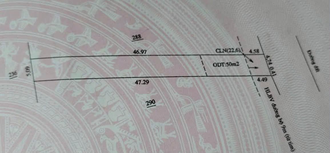 Bán đất 255m² Cao Bá Quát, Chơn Thành, Bình Phước, 5 tỷ - Ảnh thu nhỏ 5