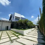Bán biệt thự vườn 2.867 m² mặt tiền Bùi Thị Điệt, Củ Chi - Ảnh thu nhỏ 3
