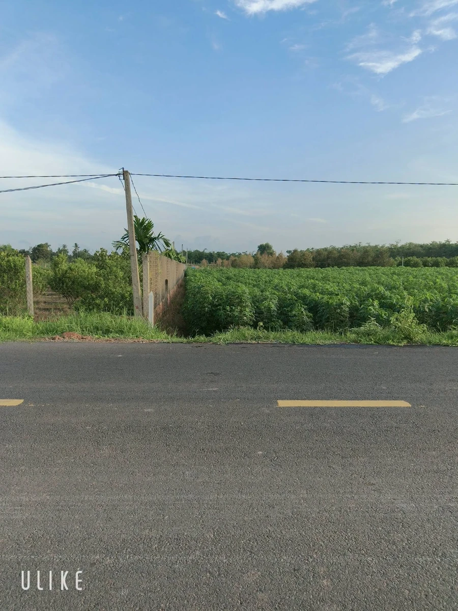 Bán đất thổ cư 150m² ở Tây Ninh, 1 tỷ, view núi Bà Đen - Ảnh thu nhỏ 3