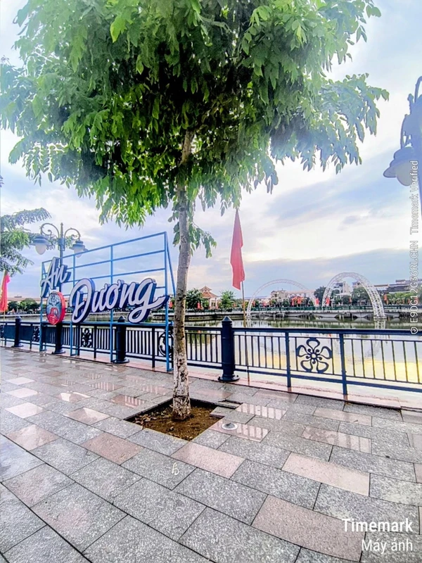 Bán đất 117m2 mặt tiền Lê A, Nhà Bè, 980 triệu 3600m