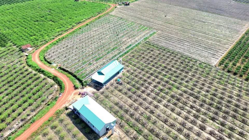 Bán đất 500m2 sổ sẵn Tây Ninh, giá từ 200 triệu - Ảnh thu nhỏ 5