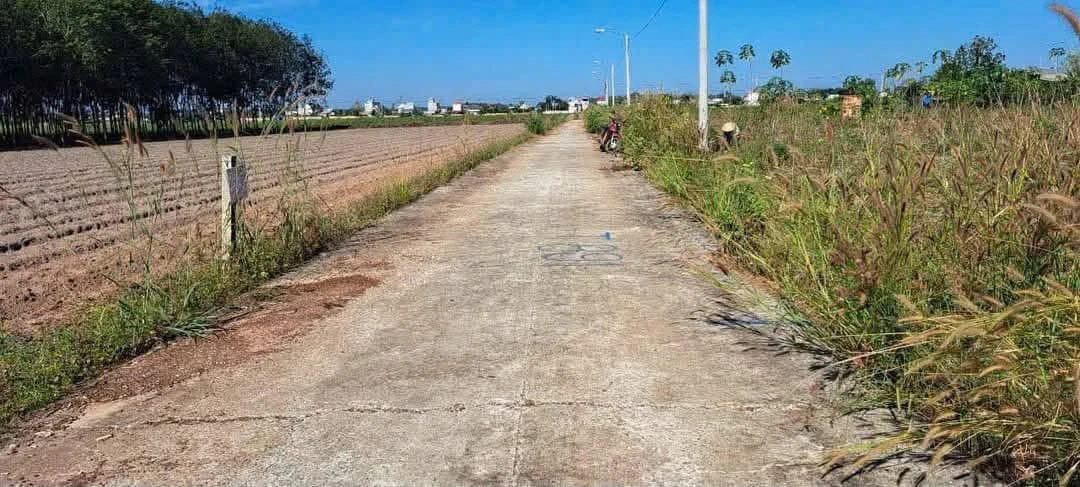 Bán đất 400m2 mặt tiền đường 13 Bình Chánh - Ảnh thu nhỏ 2