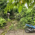 Bán đất tại phường 5, Sóc Trăng, 1,3 tỷ, 727m2, view đẹp, giá ưu đãi - Ảnh thu nhỏ 7