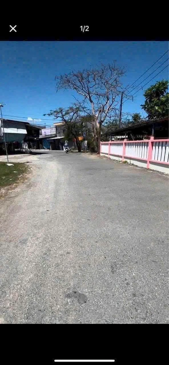 Bán đất 250m2 ngang 10m, có 50m thổ cư tại Quới Thành (nay là Tiên Thủy) - Ảnh thu nhỏ 2