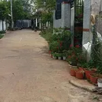 Bán nhà mái Thái 3PN 7x23m, Hòa Long, TP Bà Rịa, giá 1,95 tỷ - Ảnh thu nhỏ 1