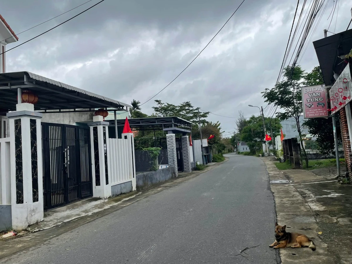 Bán lô đất đường nhựa 145 m² Nhơn Thọ, 2 tỷ - Ảnh thu nhỏ 4