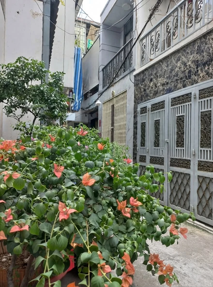 Bán nhà mặt tiền Nguyễn Văn Cừ Quận 1, 116m² - Ảnh thu nhỏ 3