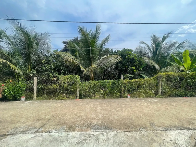 Bán đất 95,5m² Xã Sông Ray, Đồng Nai 320 triệu