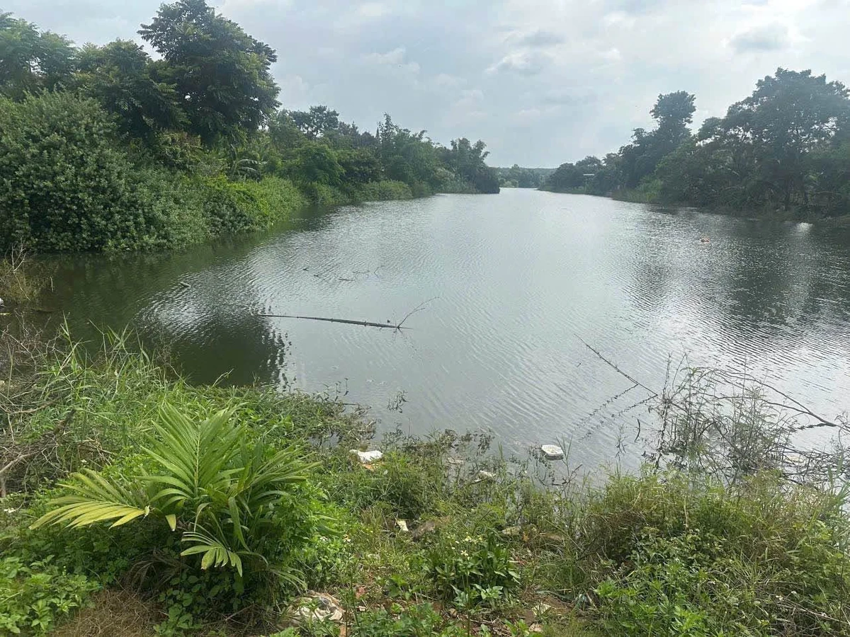 Bán lô đất 5×40m (200m²) 1,24 tỷ Tân Lập Bình Chánh - Ảnh thu nhỏ 2