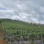 Bán đất mặt tiền Huỳnh Tấn Phát Đà Lạt 85 tỷ 5365 m² - Ảnh thu nhỏ 4