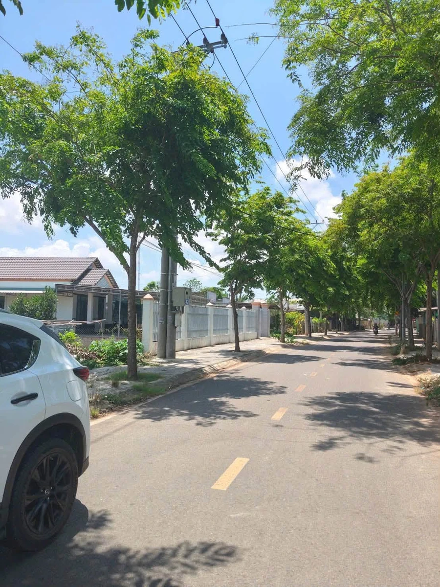 Bán lô đất Tam Long, Nhà Bè 100m2 giá 1 tỷ 250 - Ảnh 1