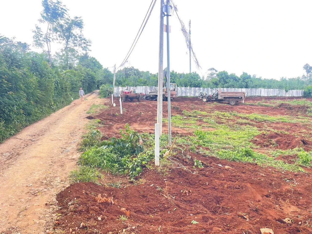 Bán đất làm nhà vườn 540m2 giá 480 triệu tại Phường Tân Lập, Đắk Lắk - Ảnh thu nhỏ 5