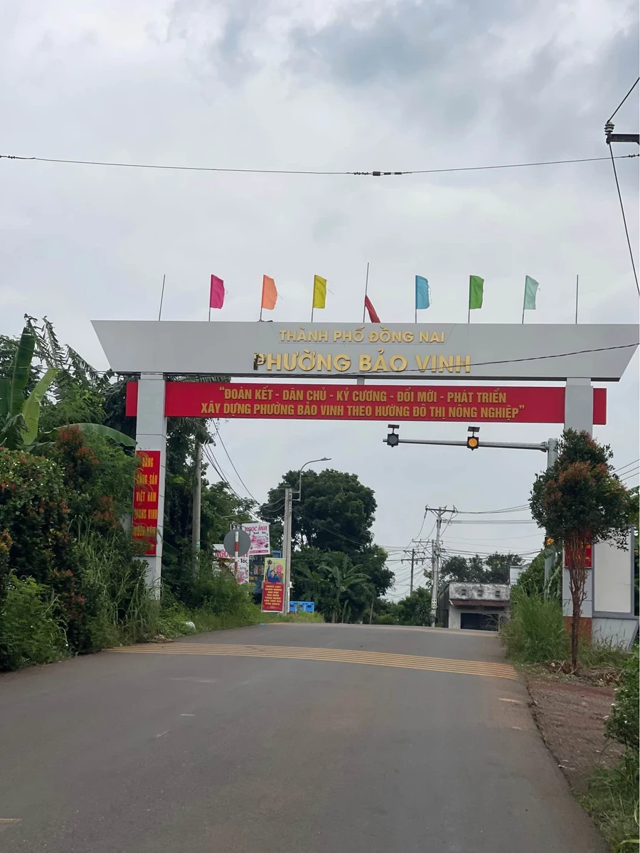 Bán đất 5,5m x 40m sau lưng chợ Bầu Cối giá 980 triệu - Ảnh thu nhỏ 2