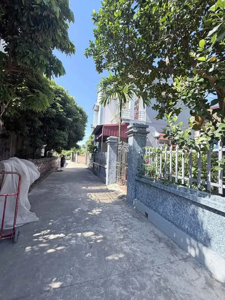 Bán nhà 2 tầng 145m² Cổ Bì, Bình Giang, Hải Dương 1,5 tỷ - Ảnh thu nhỏ 2