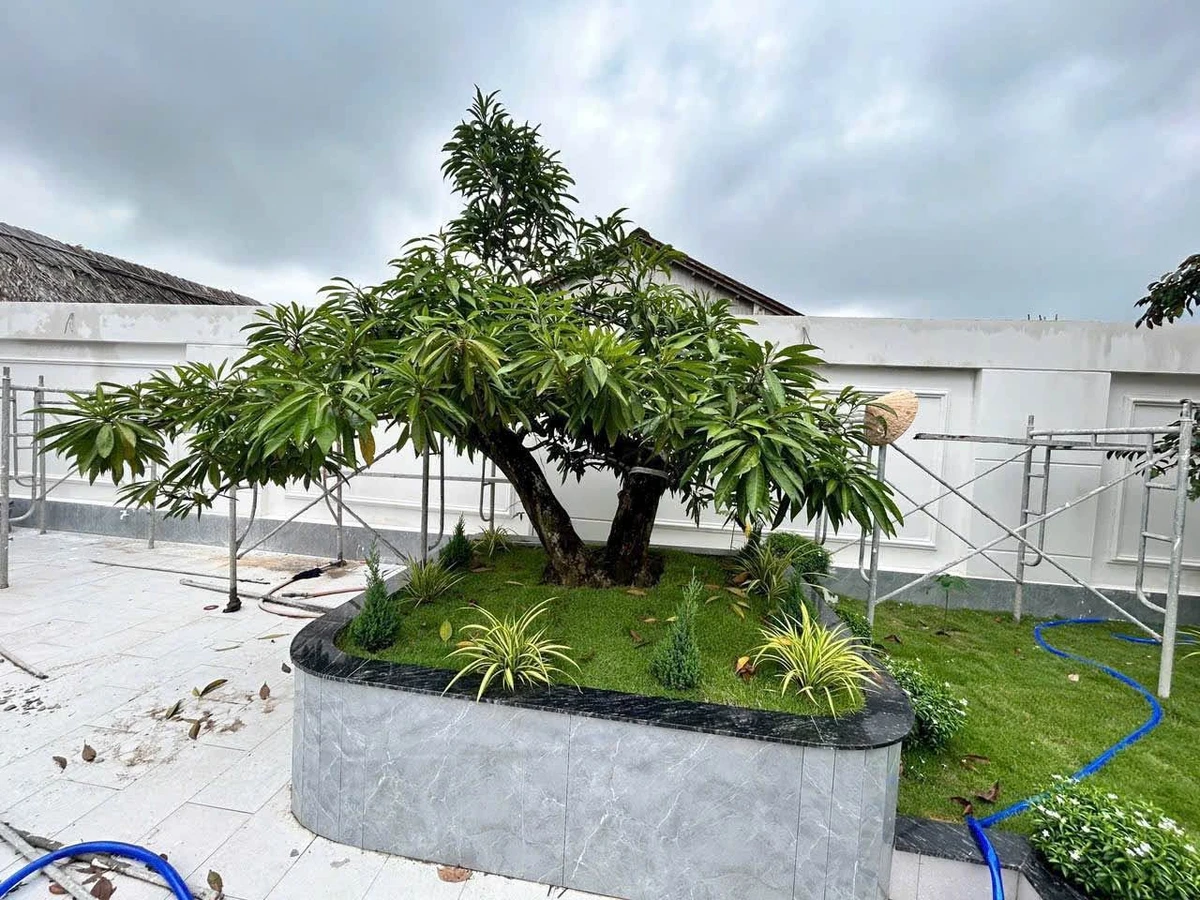 Nhà vườn 652m2 gần TL9 Cát Tường Phú Sinh 6.5 tỷ - Ảnh thu nhỏ 2