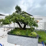 Nhà vườn 652m2 gần TL9 Cát Tường Phú Sinh 6.5 tỷ - Ảnh thu nhỏ 2