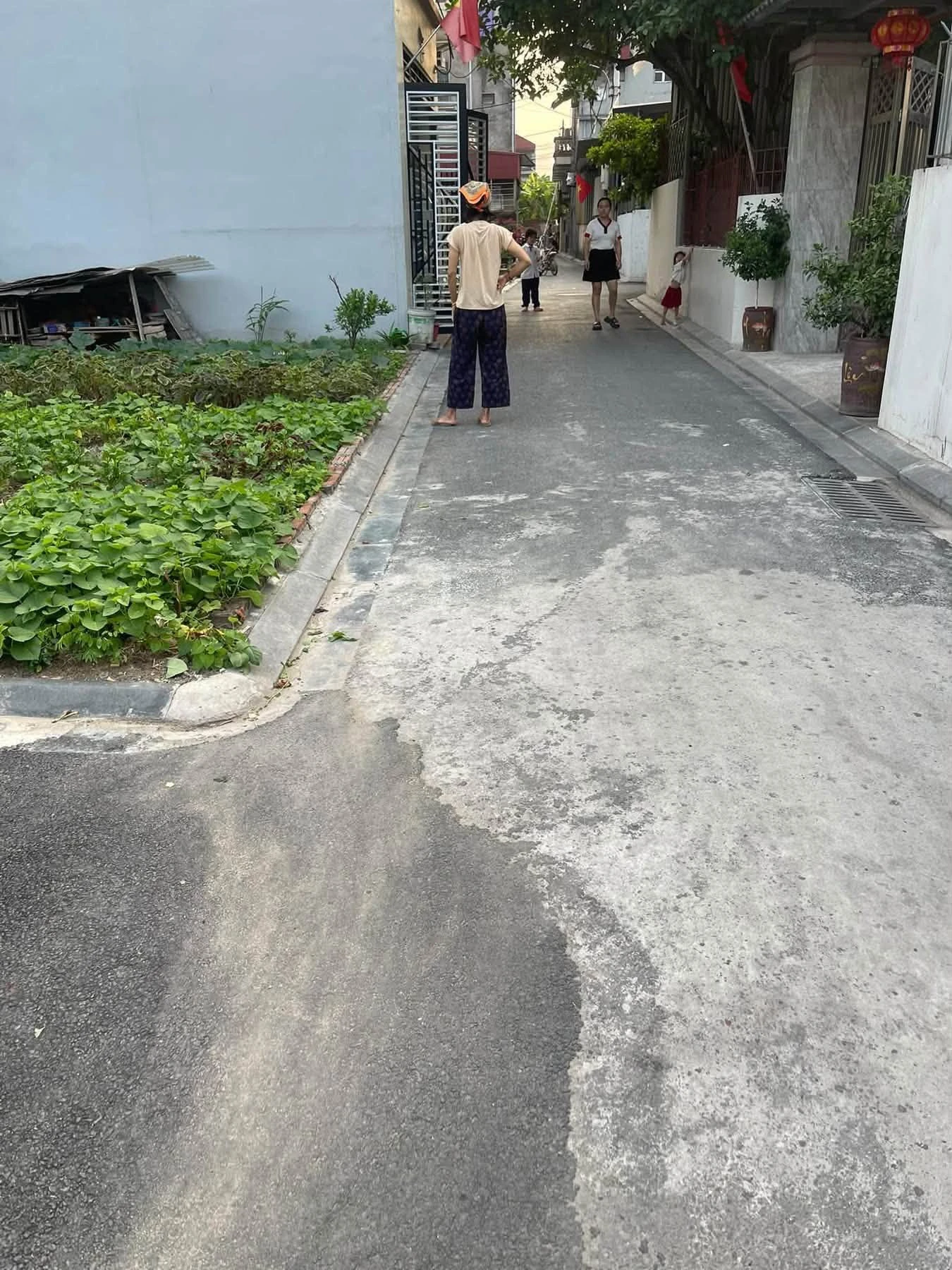 Bán đất 72m2 đường ô tô vào, Lương Quy, Thư Lâm, Đông Anh, Hà Nội - Ảnh 1