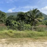 Bán 9500m vuông đất trồng CLN, quy hoạch lên đất ONT, sổ hồng riêng, chính chủ - Ảnh thu nhỏ 8