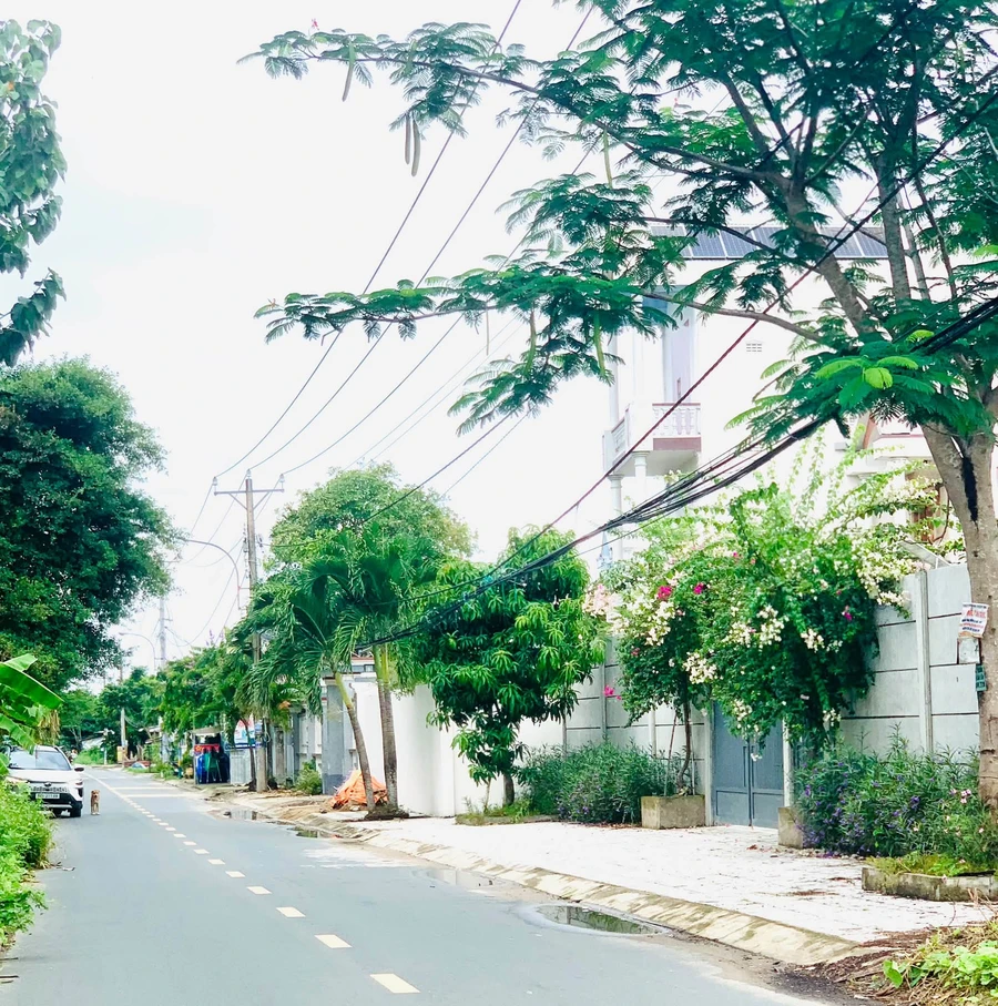 Bán đất 2000m2 gần KĐT Phú Cường, Rạch Giá, An Giang - Ảnh thu nhỏ 2
