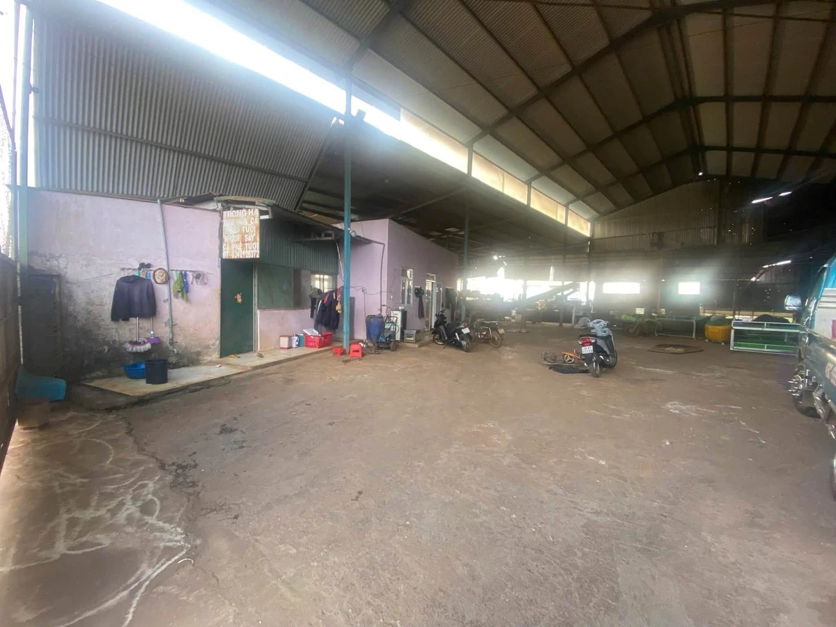 Bán kho xưởng cà phê 3.102m² giá 6 tỷ Bảo Lộc - Ảnh thu nhỏ 5