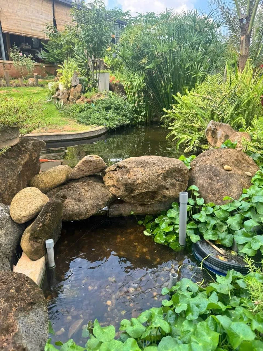 Bán nhà vườn 500m² Yên Mỹ Thủ Đức giá 2 tỷ 990 triệu - Ảnh thu nhỏ 5