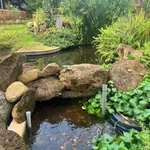 Bán nhà vườn 500m² Yên Mỹ Thủ Đức giá 2 tỷ 990 triệu - Ảnh thu nhỏ 5