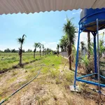 Bán nhà vườn đường nhựa 4m, 743m2, giá 850 triệu tại Phường Tân Ninh, Tây Ninh - Ảnh thu nhỏ 2