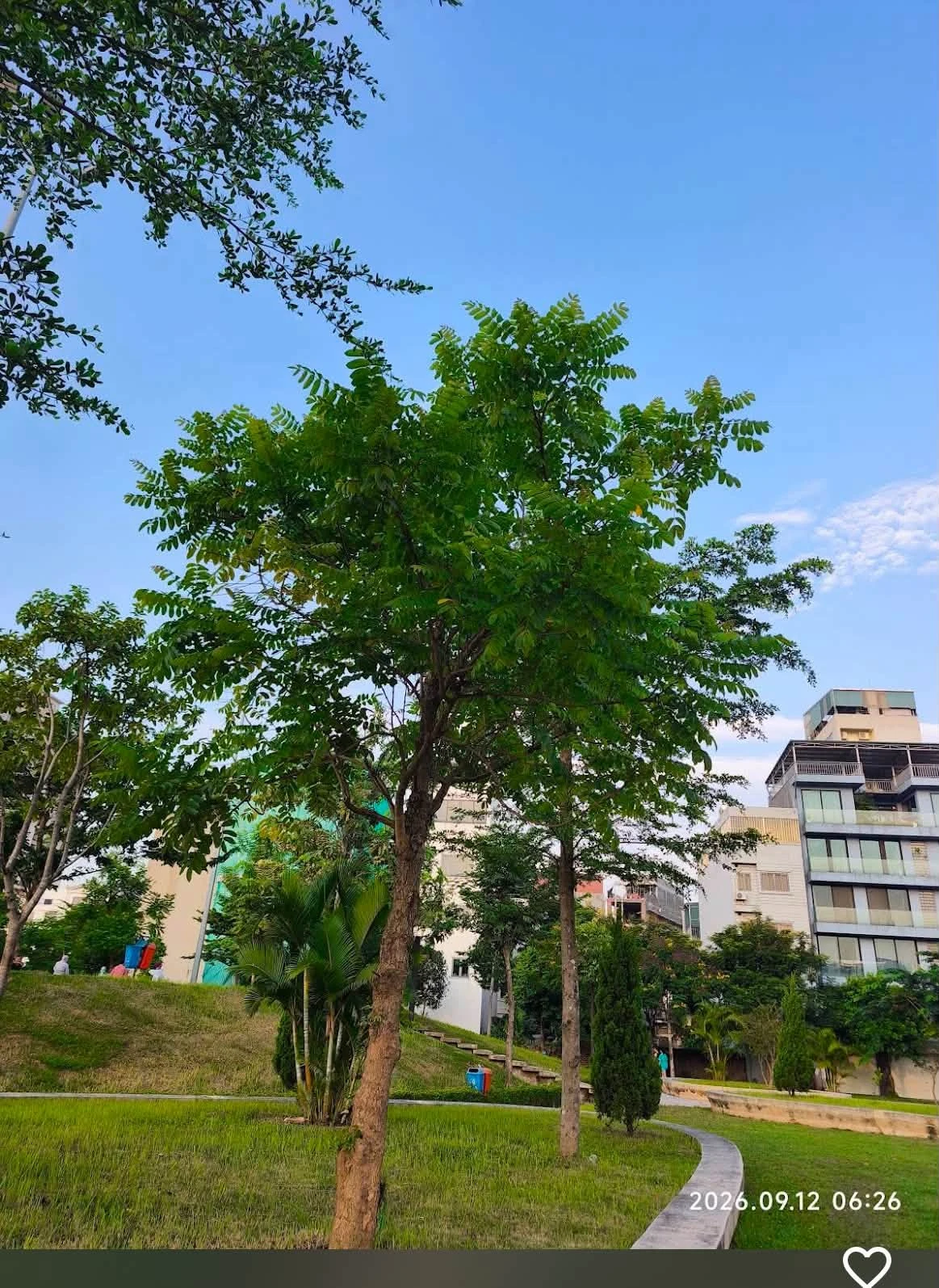 Bán đất 100m² hai mặt tiền Ngọc Thụy Gia Lâm 29,99 tỷ - Ảnh 1