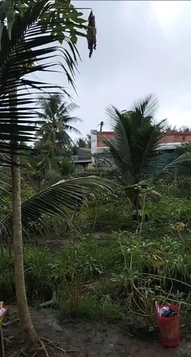 Bán đất gần cầu gạch 2 QL57B đường vào 300m - Ảnh thu nhỏ 4